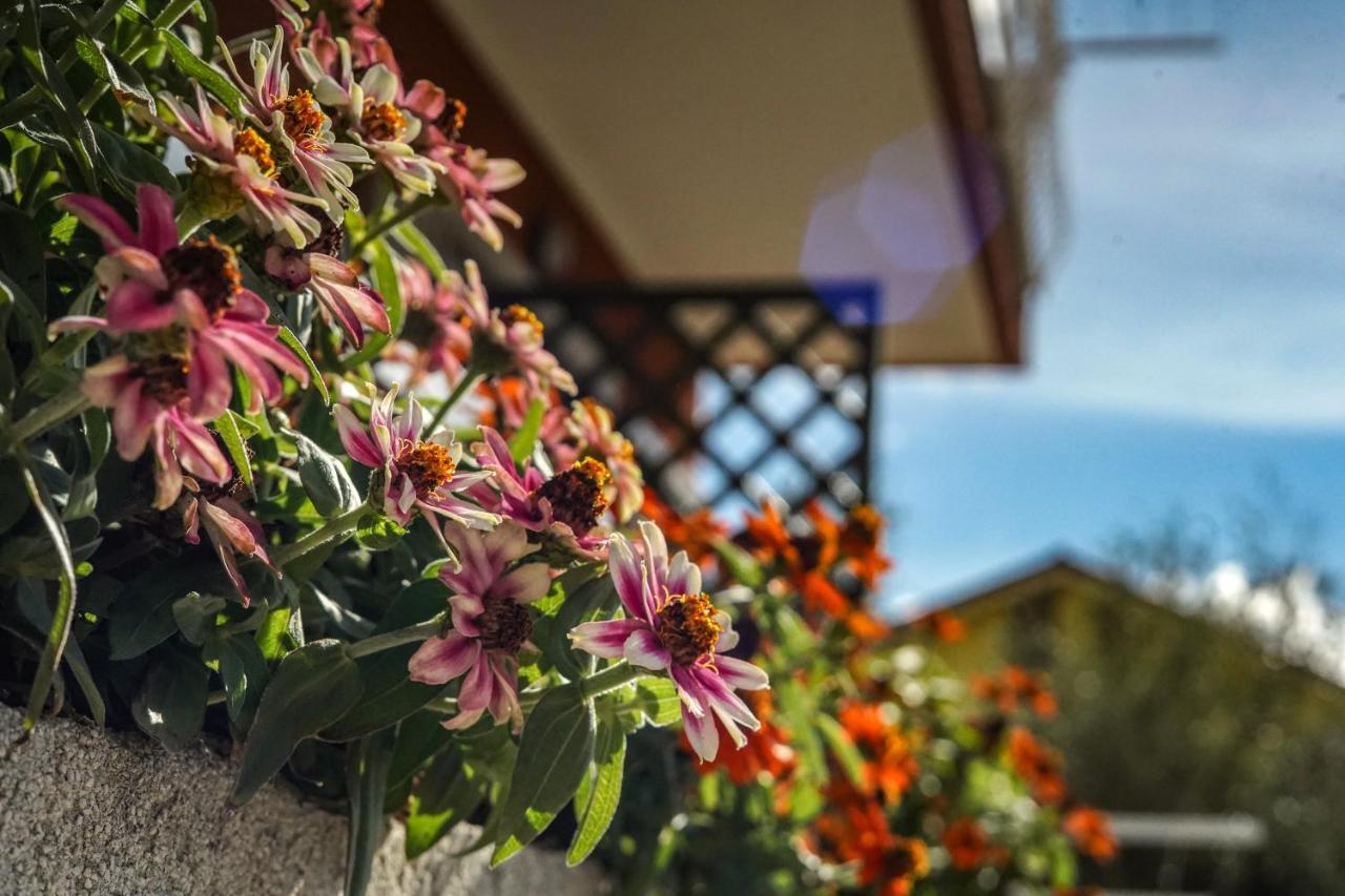Agriturismo La Rocca San Bartolomeo al Mare Kültér fotó