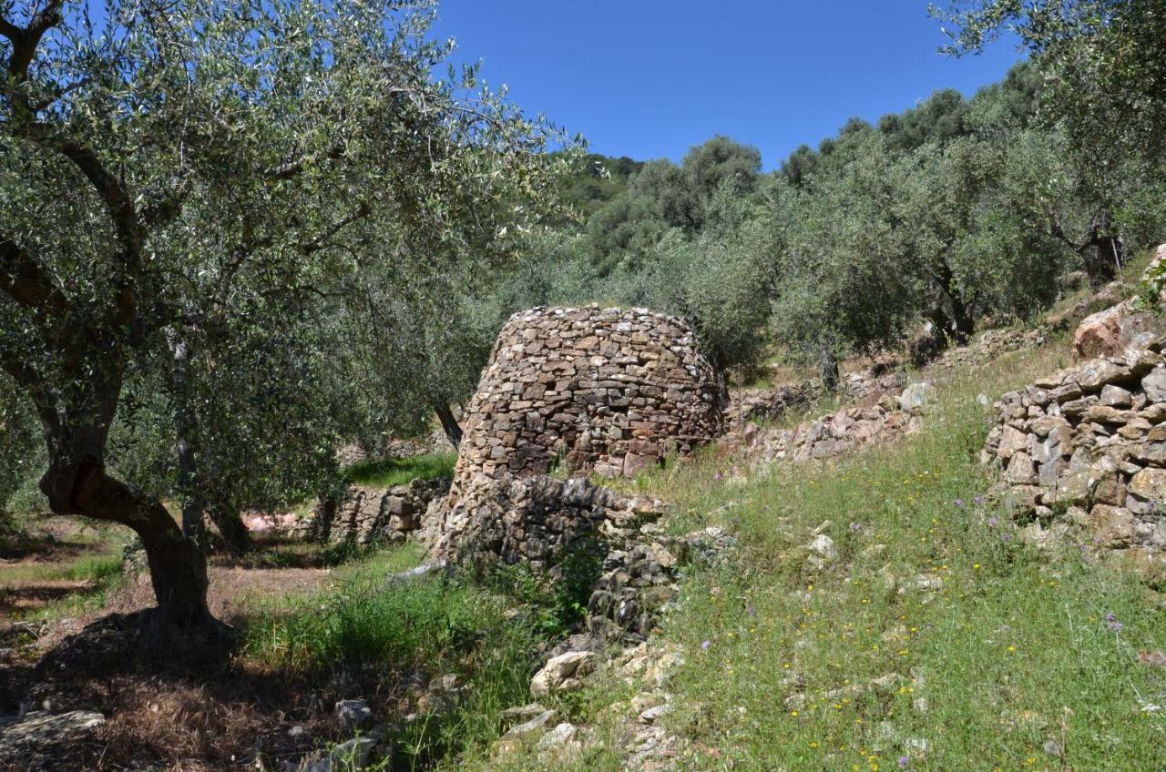 Agriturismo La Rocca San Bartolomeo al Mare Kültér fotó